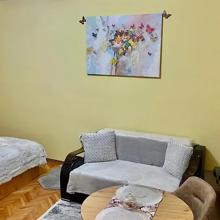 Butterfly * 布拉索夫