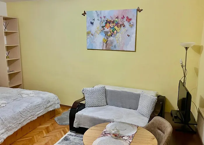 Butterfly * 布拉索夫